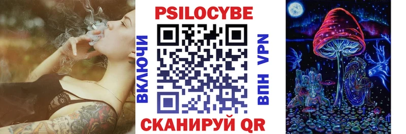 kraken ссылки  Горячеводский  Галлюциногенные грибы Psilocybe 
